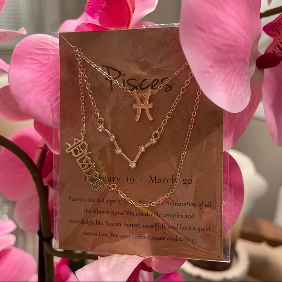 New Pisces Zodiac Sign & Constellation Necklace - Picture 4 of 5
